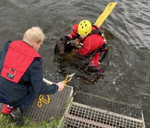 Feuerwehr rettet Hund aus der Ruhr Feuerwehr rettet Hund aus der Ruhr