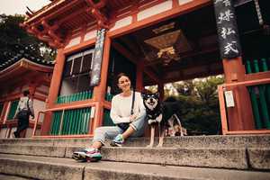 Reise mit Hund in Japan Reise mit Hund in Japan