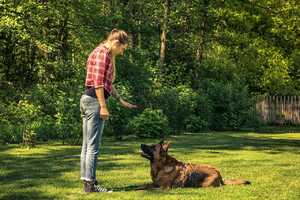 Sachkundenachweis für Hunde Sachkundenachweis für Hunde