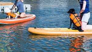 SUP mit Hund SUP mit Hund